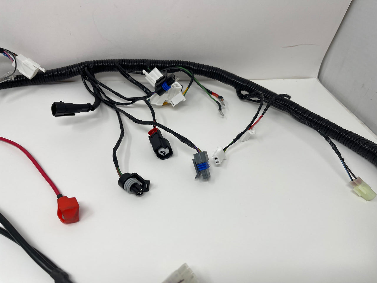 X22R MAX 250cc Motorcycle | Wiring Harness (H6-70122)